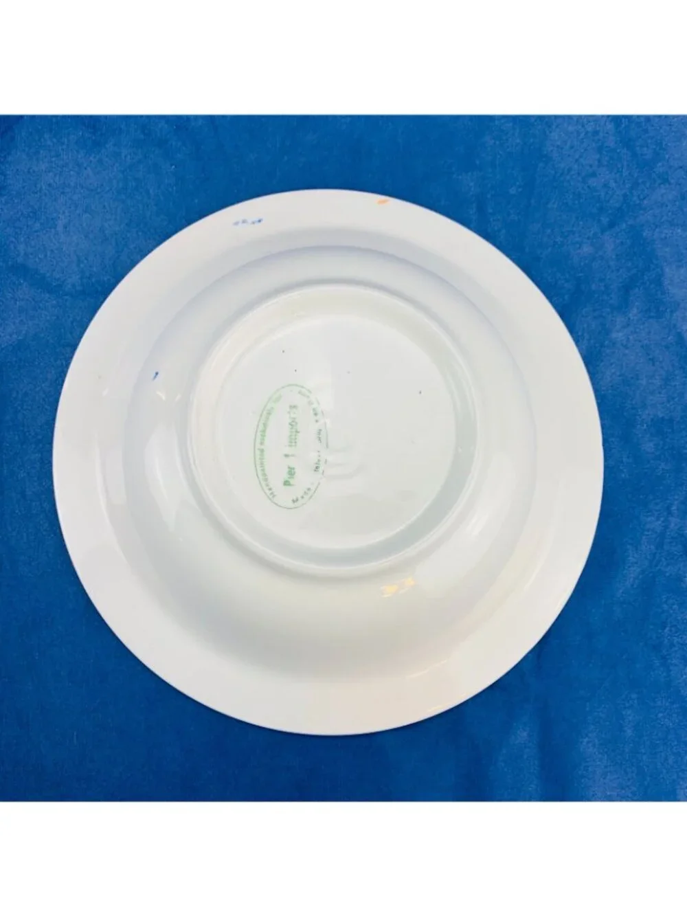 Pier 1 One Imports COLORED X Hand Painted Stoneware Italy Rim Soup Cereal Bowl 5